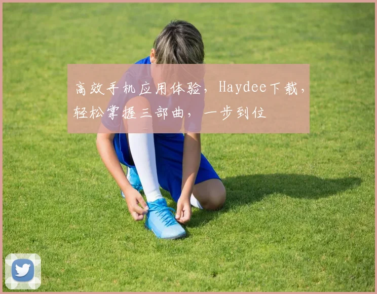 高效手机应用体验，Haydee下载，轻松掌握三部曲，一步到位