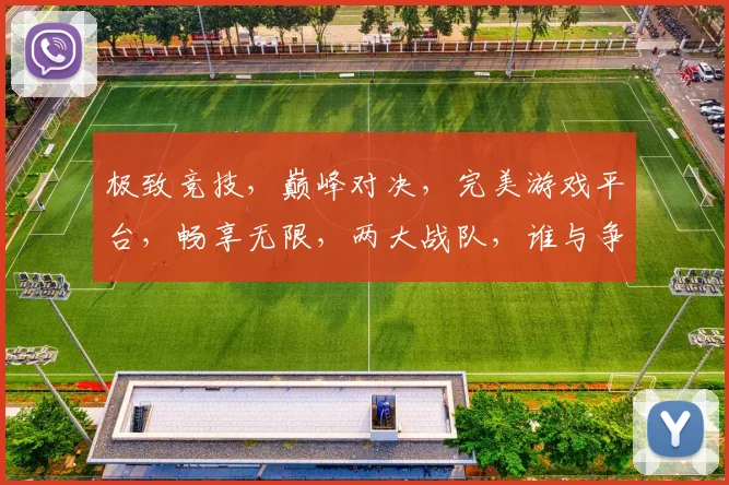 极致竞技，巅峰对决，完美游戏平台，畅享无限，两大战队，谁与争锋，