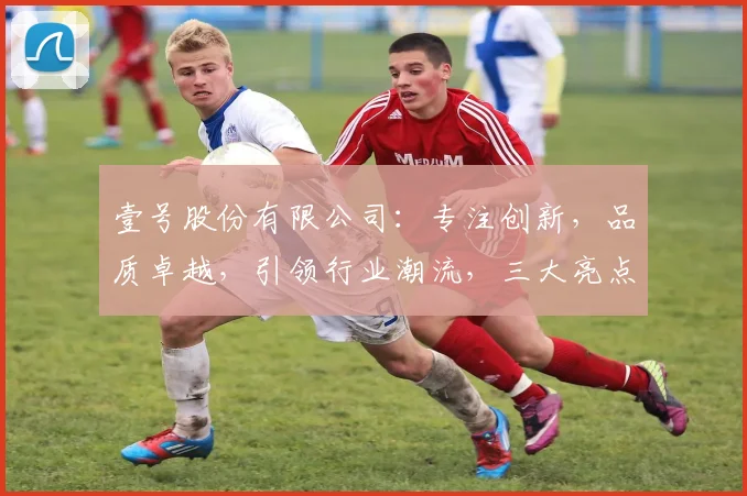 壹号股份有限公司：专注创新，品质卓越，引领行业潮流，三大亮点，值得信赖
