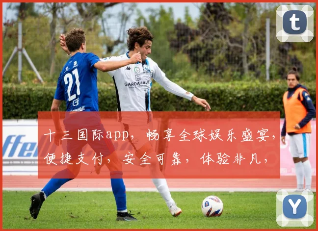 十三国际app，畅享全球娱乐盛宴，便捷支付，安全可靠，体验非凡，必看攻略