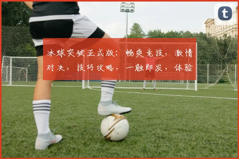 冰球突破正式版：畅爽竞技，激情对决，技巧攻略，一触即发，体验冰球魅力