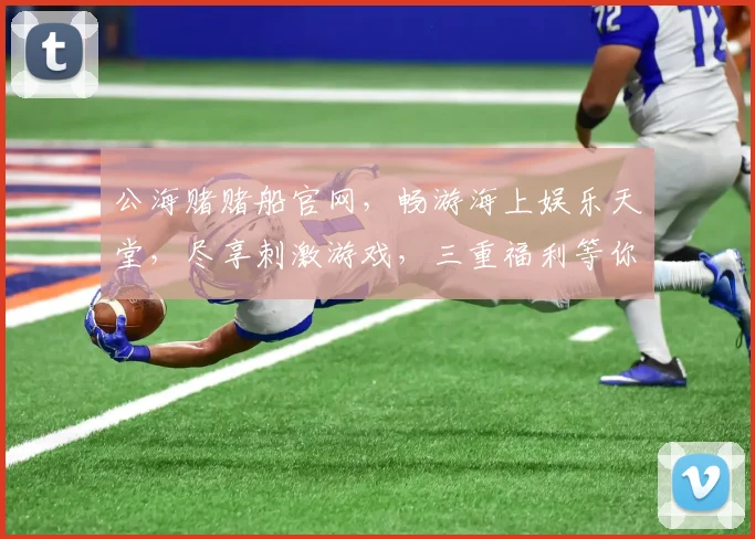 公海赌赌船官网，畅游海上娱乐天堂，尽享刺激游戏，三重福利等你来